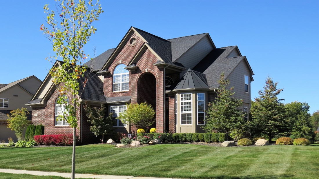 Professional Tree & Shrub Care South Lyon MI | Spring Fever Lawn Care - IMG_0032